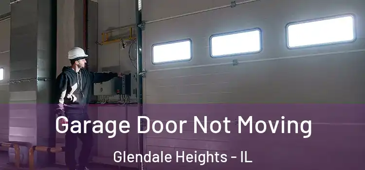  Garage Door Not Moving Glendale Heights - IL