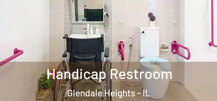 Handicap Restroom Glendale Heights - IL