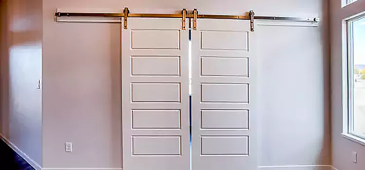 Glass Barn Door with Installation Hardware Kit Glendale Heights