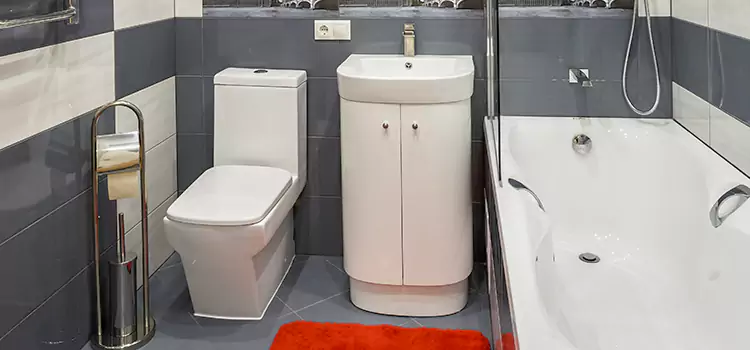 Hansgrohe Shaving Mirror Glendale Heights